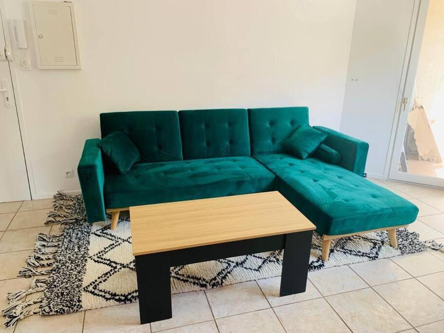 Appartement Rangeuil Тулуза Экстерьер фото
